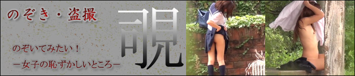のぞき・盗撮情報　のぞいてみたい！　－女子の恥ずかしいところ－