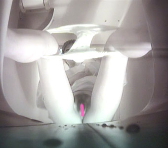 便器の中から見上げる