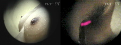 穴から見えるギャルのおっぱい