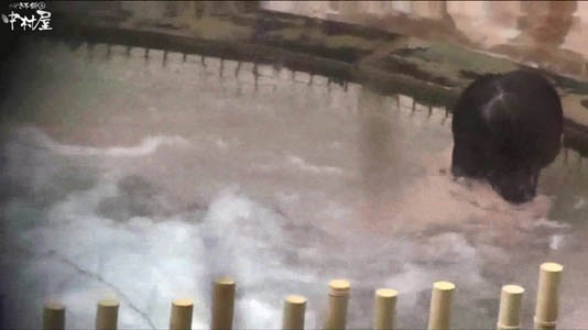 露天でうつ伏せ状態で湯に浸かる女子