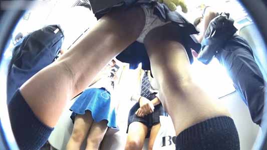 仁王立ちのJKを見上げてます