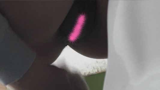 開いていたワレメが閉じてしまう程にふっくらしたマンコ周辺のお肉