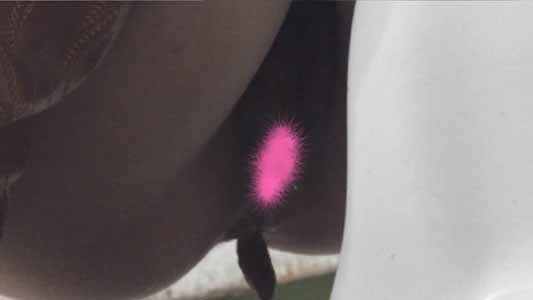 オシッコのあとにウンコしている女子