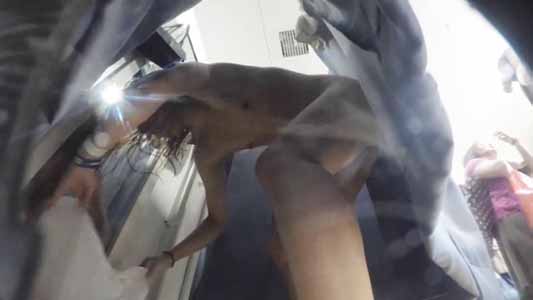 おっぱい小さくてイイ感じ