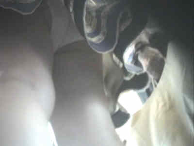 スカートの中を見上げて白パンツ